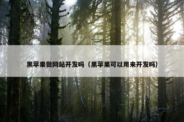 黑苹果做网站开发吗（黑苹果可以用来开发吗）