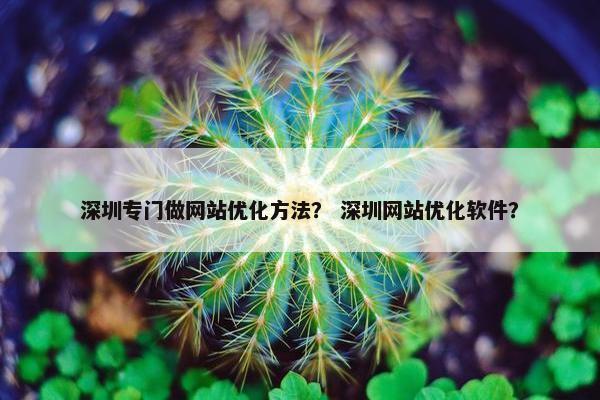 深圳专门做网站优化方法？ 深圳网站优化软件？