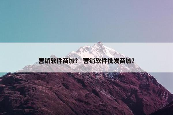营销软件商城？ 营销软件批发商城？