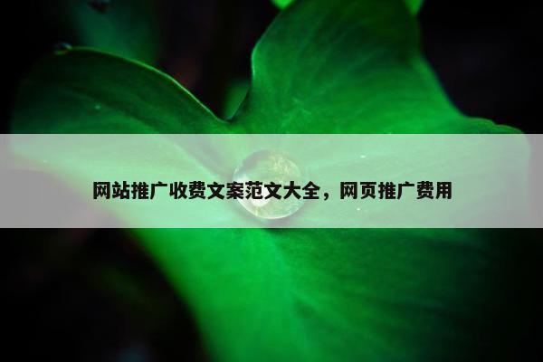 网站推广收费文案范文大全，网页推广费用