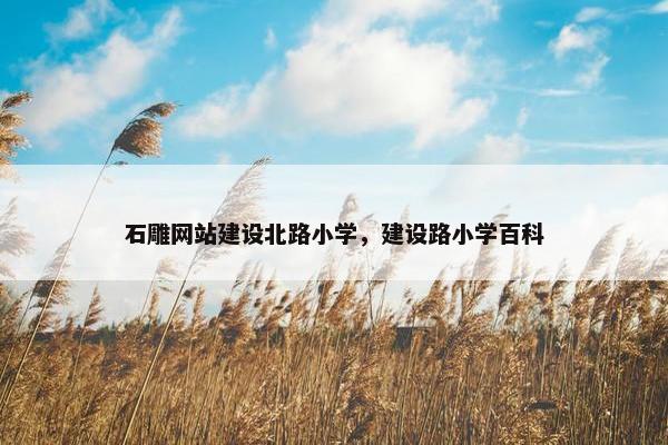 石雕网站建设北路小学，建设路小学百科