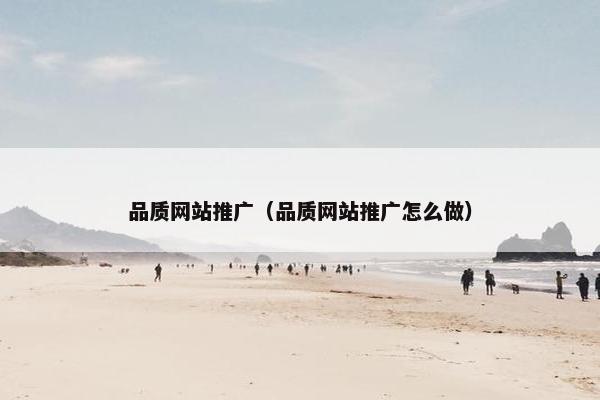 品质网站推广（品质网站推广怎么做）