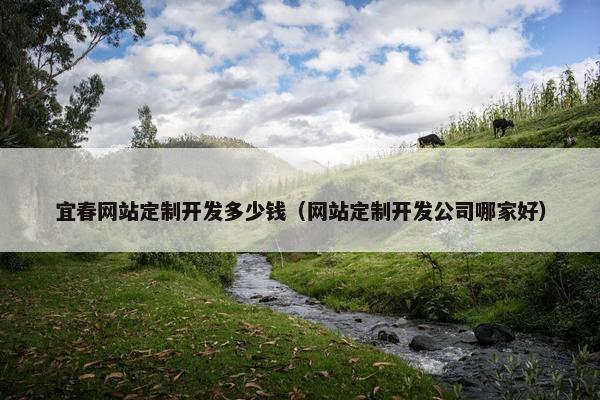 宜春网站定制开发多少钱（网站定制开发公司哪家好）