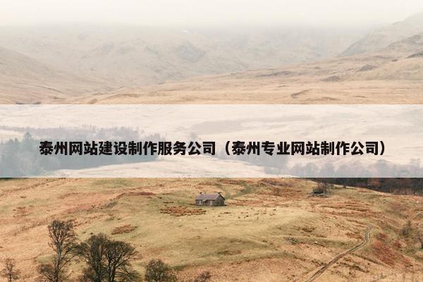 泰州网站建设制作服务公司（泰州专业网站制作公司）