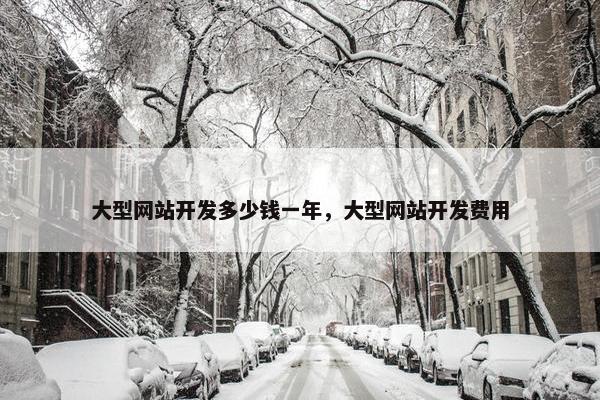 大型网站开发多少钱一年，大型网站开发费用