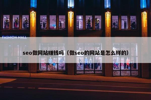 seo做网站赚钱吗（做seo的网站是怎么样的）