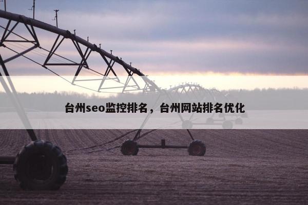 台州seo监控排名，台州网站排名优化