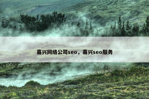 嘉兴网络公司seo，嘉兴seo服务