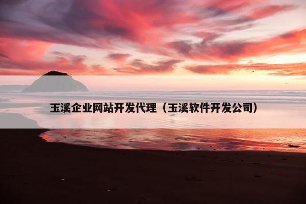 玉溪企业网站开发代理（玉溪软件开发公司）