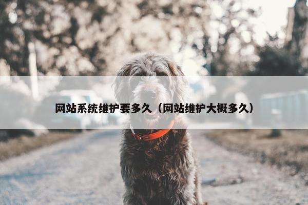网站系统维护要多久（网站维护大概多久）
