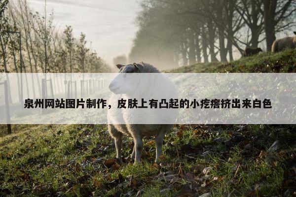 泉州网站图片制作，皮肤上有凸起的小疙瘩挤出来白色