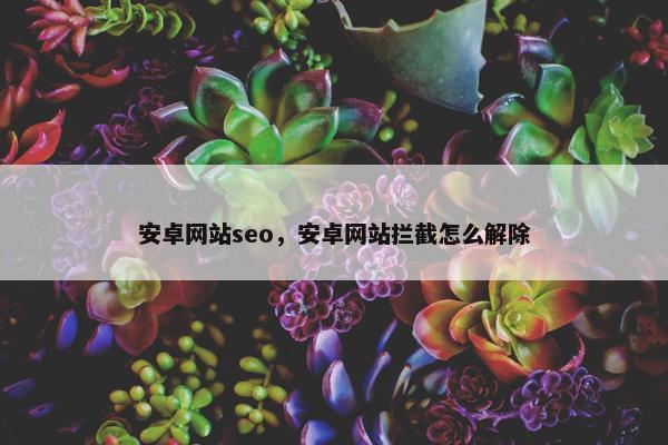 安卓网站seo，安卓网站拦截怎么解除