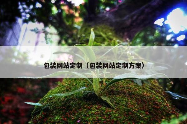 包装网站定制（包装网站定制方案）