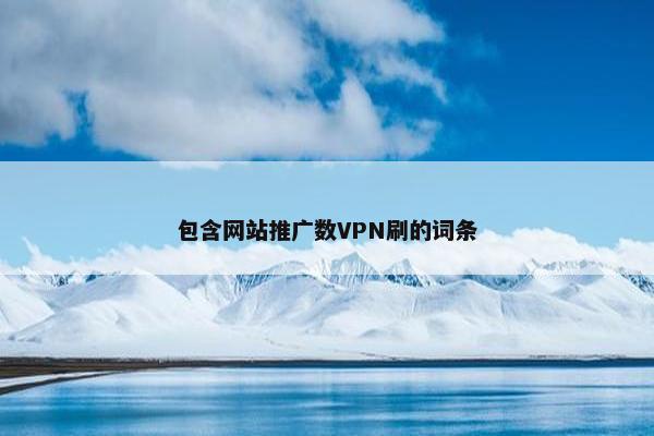 包含网站推广数VPN刷的词条