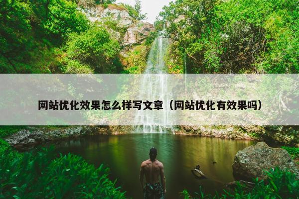 网站优化效果怎么样写文章（网站优化有效果吗）