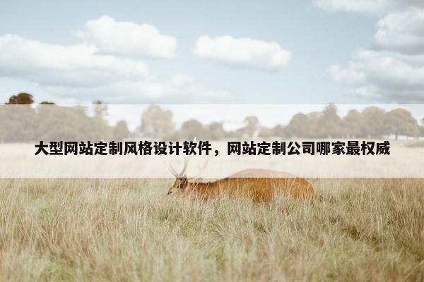 大型网站定制风格设计软件，网站定制公司哪家最权威