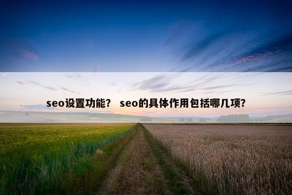 seo设置功能？ seo的具体作用包括哪几项？