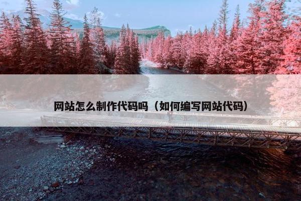 网站怎么制作代码吗（如何编写网站代码）