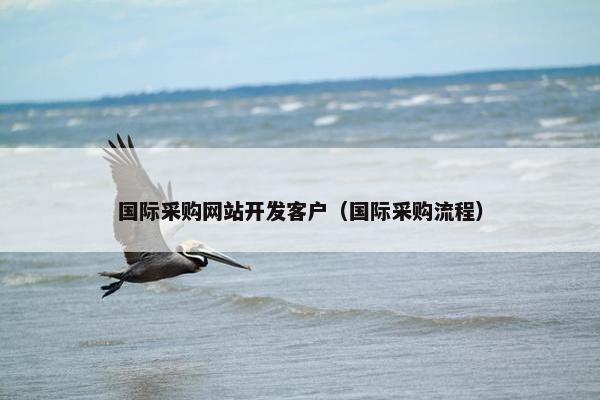 国际采购网站开发客户（国际采购流程）