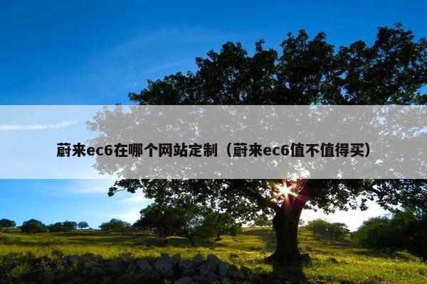 蔚来ec6在哪个网站定制（蔚来ec6值不值得买）