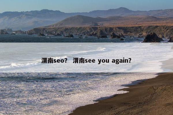 渭南seo？ 渭南see you again？