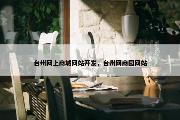 台州网上商城网站开发，台州网商园网站