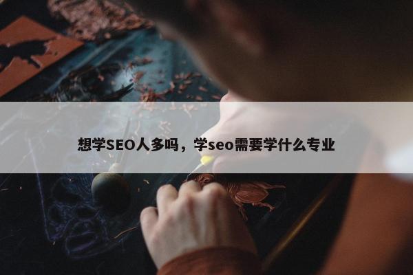 想学SEO人多吗，学seo需要学什么专业