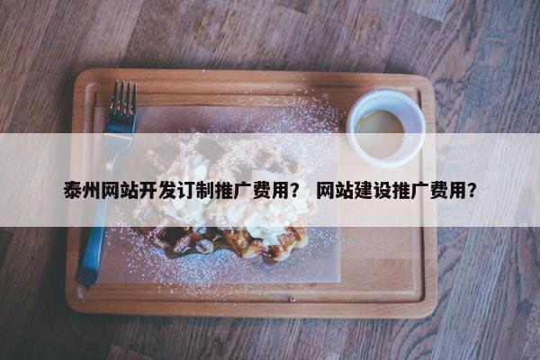 泰州网站开发订制推广费用？ 网站建设推广费用？