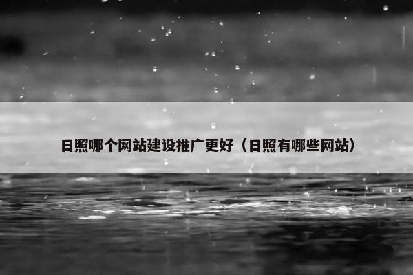 日照哪个网站建设推广更好（日照有哪些网站）
