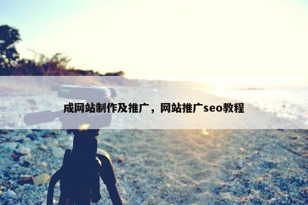 成网站制作及推广，网站推广seo教程
