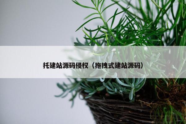托建站源码侵权（拖拽式建站源码）
