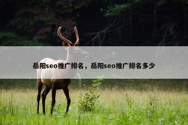岳阳seo推广排名，岳阳seo推广排名多少