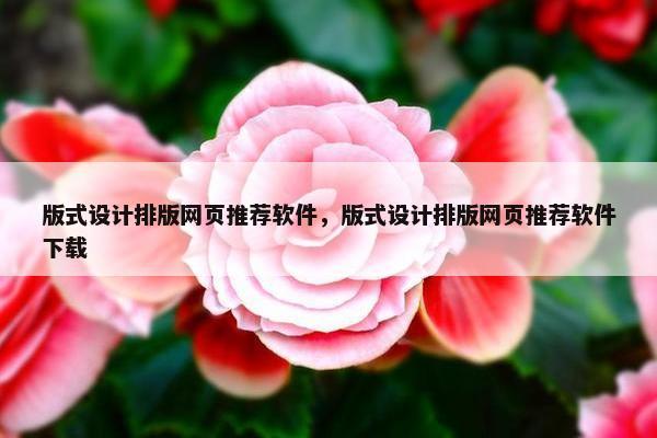 版式设计排版网页推荐软件，版式设计排版网页推荐软件下载