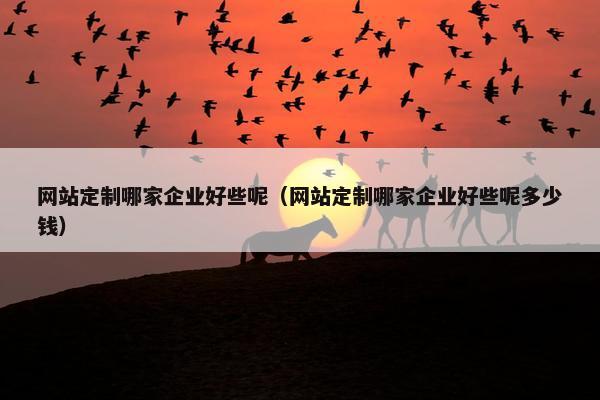 网站定制哪家企业好些呢（网站定制哪家企业好些呢多少钱）