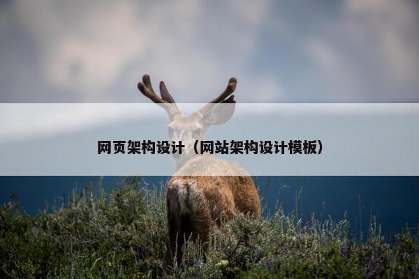 网页架构设计（网站架构设计模板）