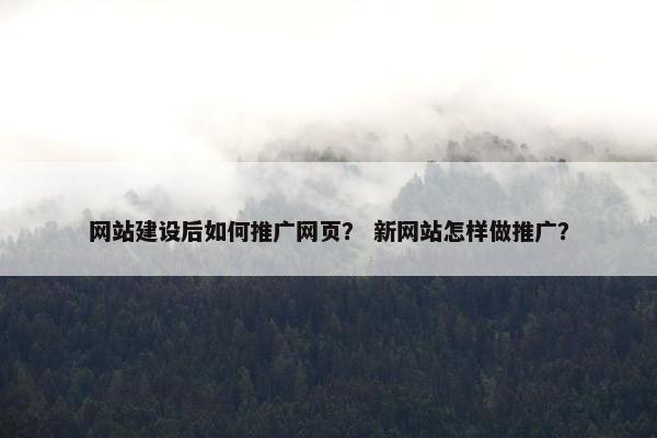 网站建设后如何推广网页？ 新网站怎样做推广？