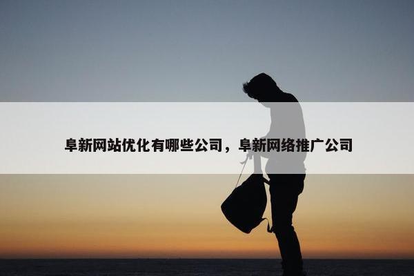 阜新网站优化有哪些公司，阜新网络推广公司