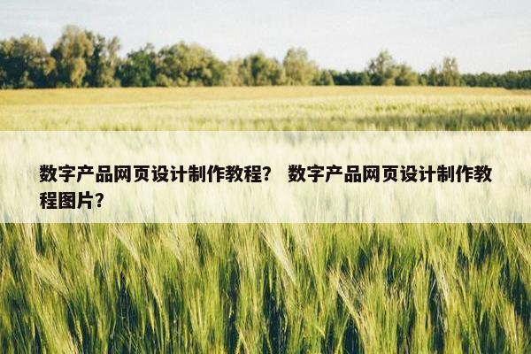 数字产品网页设计制作教程？ 数字产品网页设计制作教程图片？