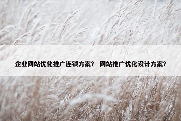 企业网站优化推广连锁方案？ 网站推广优化设计方案？