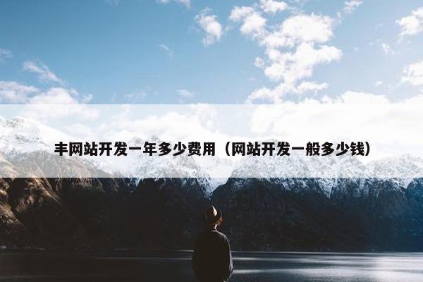 丰网站开发一年多少费用（网站开发一般多少钱）