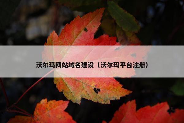 沃尔玛网站域名建设（沃尔玛平台注册）