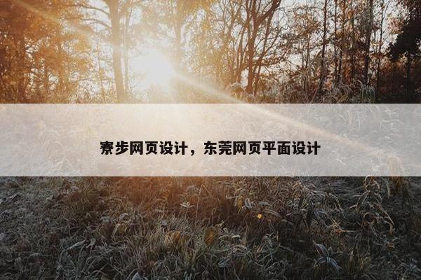 寮步网页设计，东莞网页平面设计