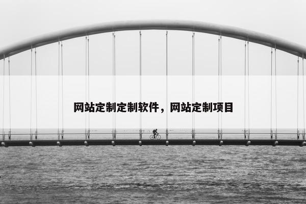 网站定制定制软件，网站定制项目