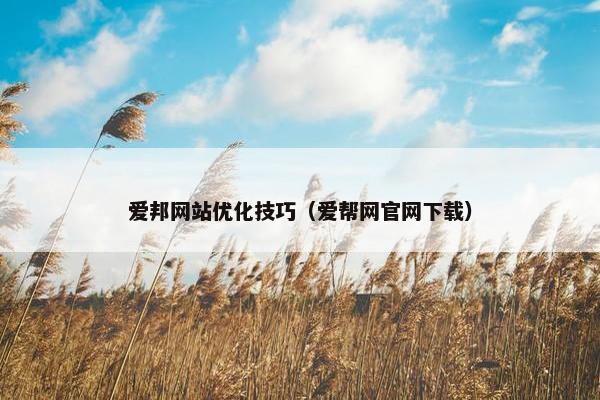 爱邦网站优化技巧（爱帮网官网下载）