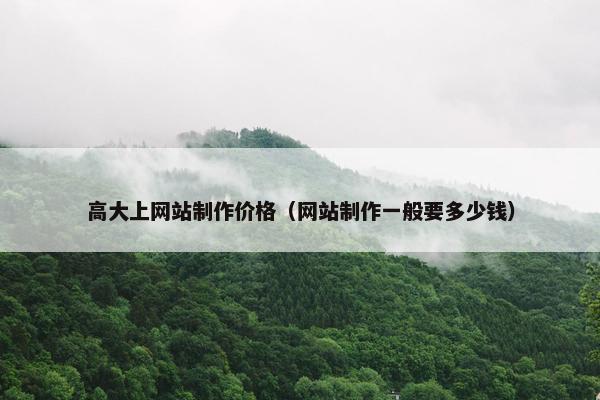 高大上网站制作价格（网站制作一般要多少钱）