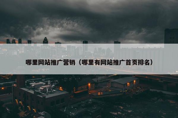 哪里网站推广营销（哪里有网站推广首页排名）