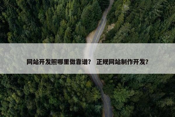 网站开发照哪里做靠谱？ 正规网站制作开发？