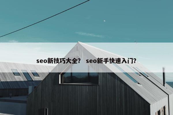 seo新技巧大全？ seo新手快速入门？