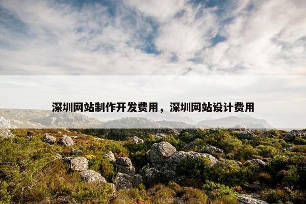 深圳网站制作开发费用，深圳网站设计费用