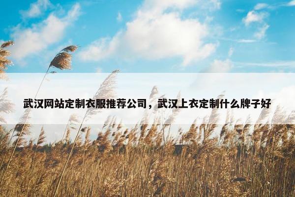 武汉网站定制衣服推荐公司，武汉上衣定制什么牌子好